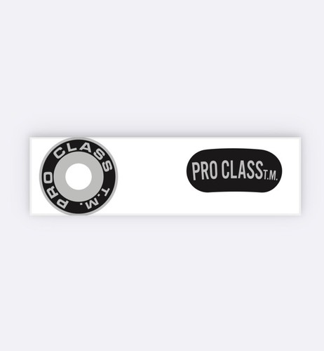 Pro class caliper decals - caliper,